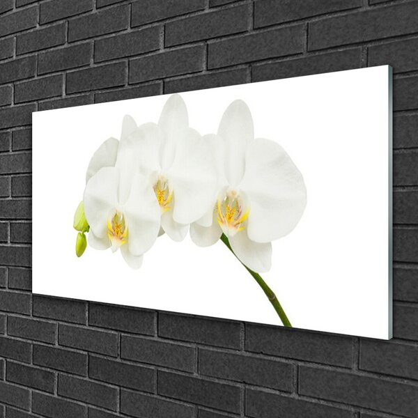 Skleneny obraz Orchidea výhonky kvety príroda 100x50 cm 2 Prívesky