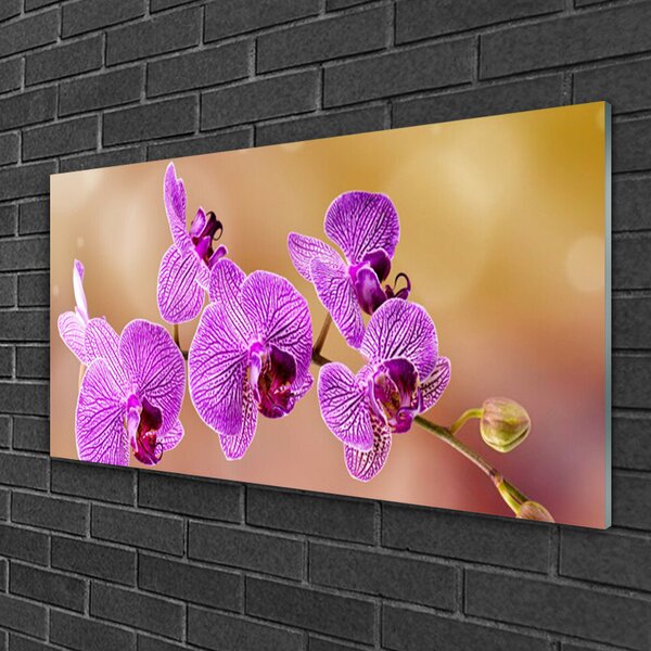 Skleneny obraz Orchidea výhonky kvety príroda 100x50 cm 2 Prívesky