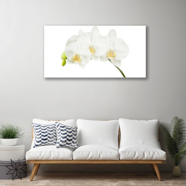 Skleneny obraz Orchidea výhonky kvety príroda 100x50 cm 2 Prívesky