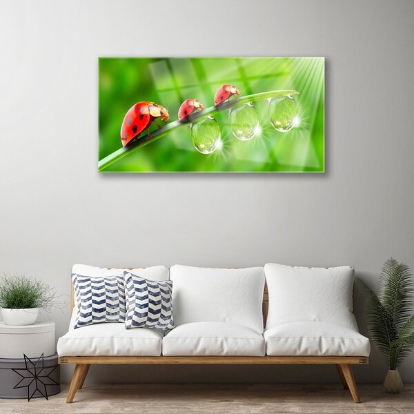 Skleneny obraz Lienky na listu kvapky 100x50 cm 2 Prívesky