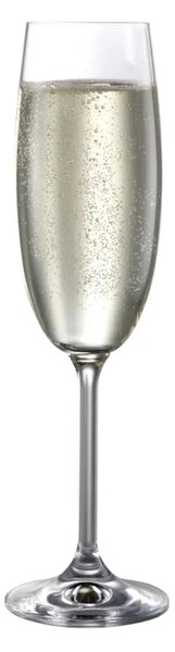 Bohemia Crystal Poháre na šampanské Natalie 190ml (set po 6ks)