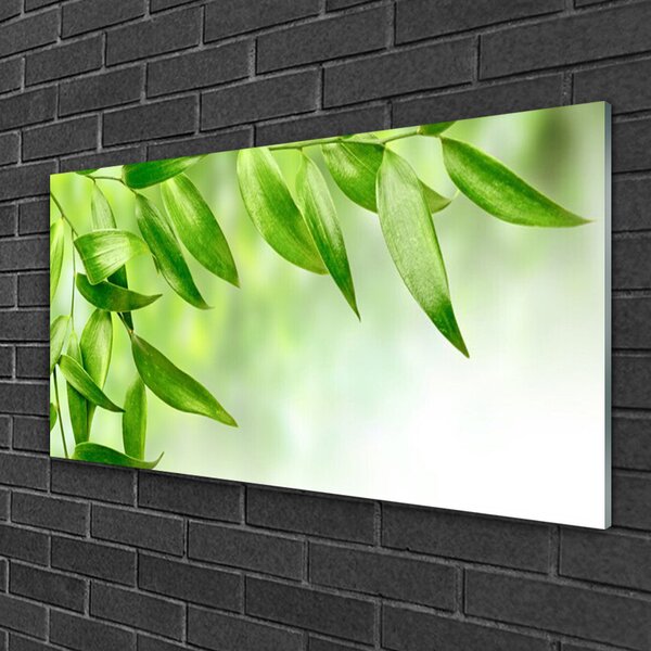 Skleneny obraz Zelené listy príroda 100x50 cm 2 Prívesky