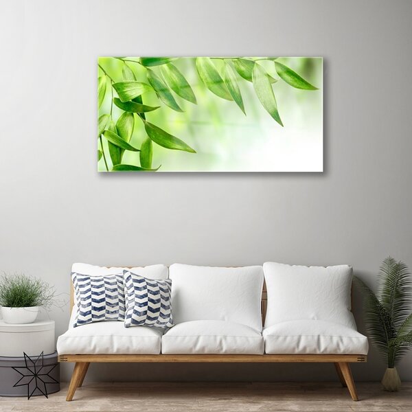 Skleneny obraz Zelené listy príroda 100x50 cm 2 Prívesky