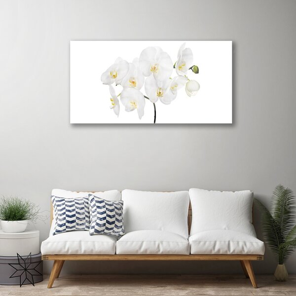 Skleneny obraz Biela orchidea kvety 100x50 cm 2 Prívesky
