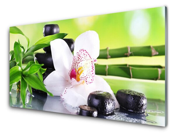 Sklenený obklad Do kuchyne Orchidea kamene zen bambus 100x50 cm