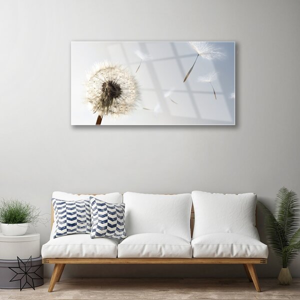 Skleneny obraz Púpava kvety príroda 100x50 cm 2 Prívesky