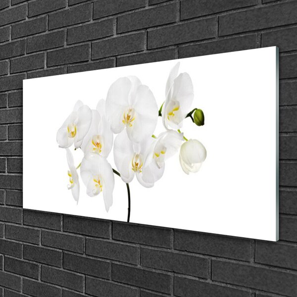 Skleneny obraz Biela orchidea kvety 100x50 cm 2 Prívesky