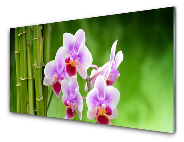 Sklenený obklad Do kuchyne Bambus orchidea kvety zen 125x50 cm
