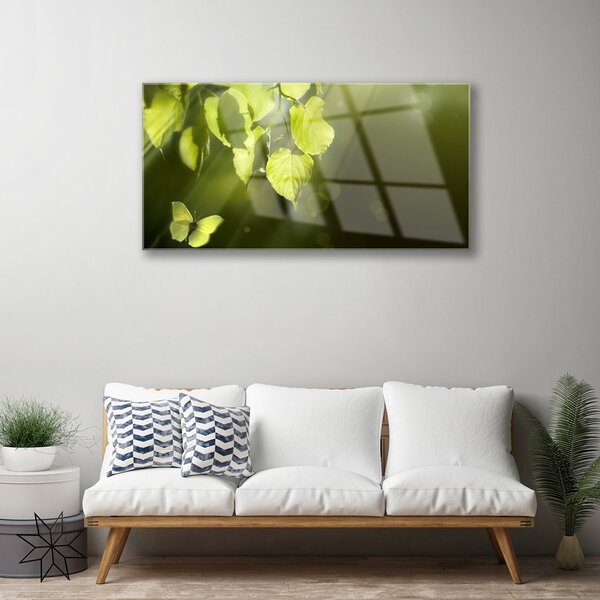 Skleneny obraz Listy slnko lúče 100x50 cm 2 Prívesky