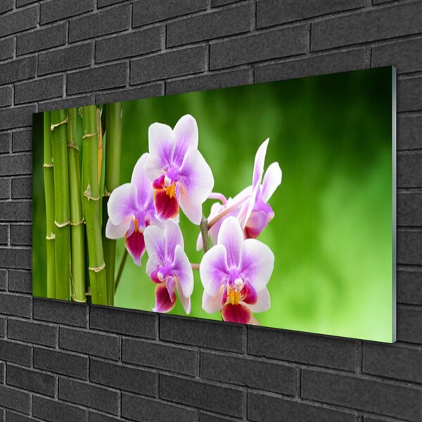 Skleneny obraz Bambus orchidea kvety zen 100x50 cm 2 Prívesky