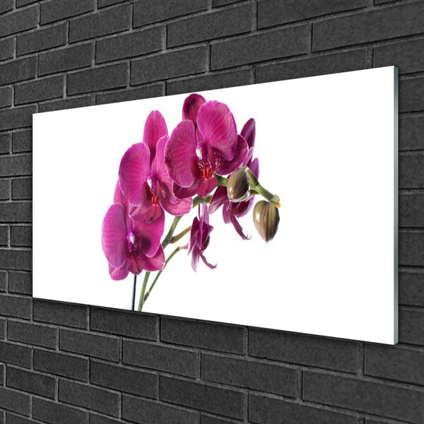 Skleneny obraz Orchidea kvety príroda 100x50 cm 2 Prívesky