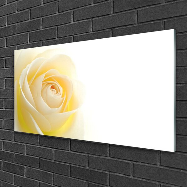 Skleneny obraz Ruže kvet rastlina 100x50 cm 2 Prívesky