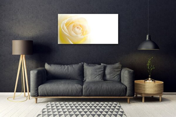 Skleneny obraz Ruže kvet rastlina 100x50 cm 2 Prívesky