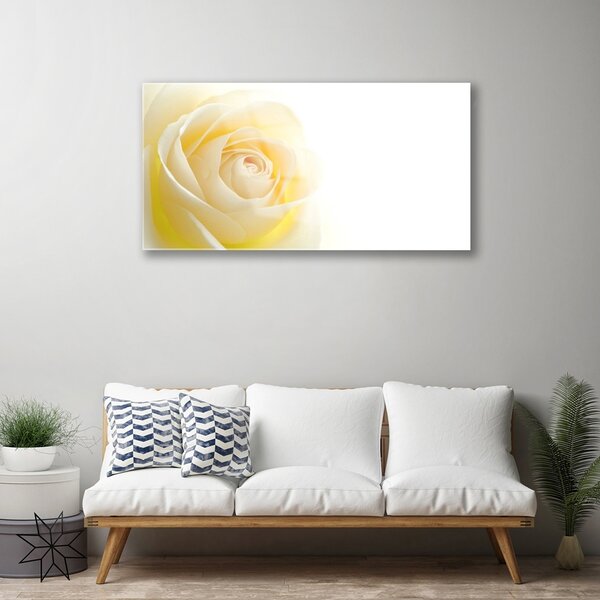 Skleneny obraz Ruže kvet rastlina 100x50 cm 2 Prívesky