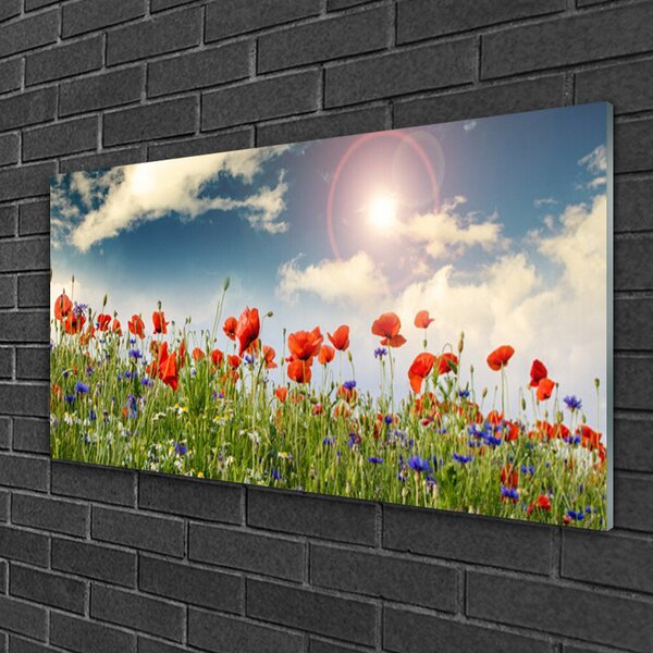 Skleneny obraz Lúka kvety slnko príroda 100x50 cm 2 Prívesky