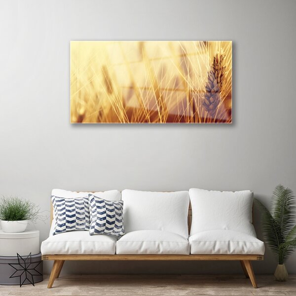 Skleneny obraz Pšenica rastlina príroda 100x50 cm 2 Prívesky