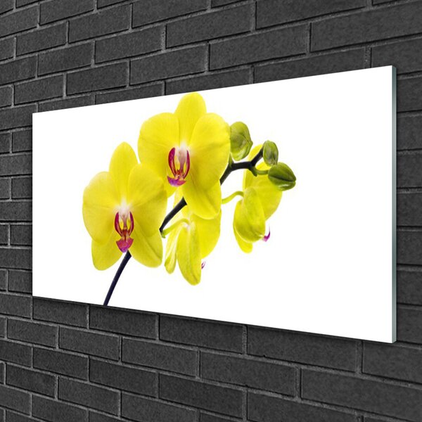 Skleneny obraz Kvety rastlina príroda 100x50 cm 2 Prívesky