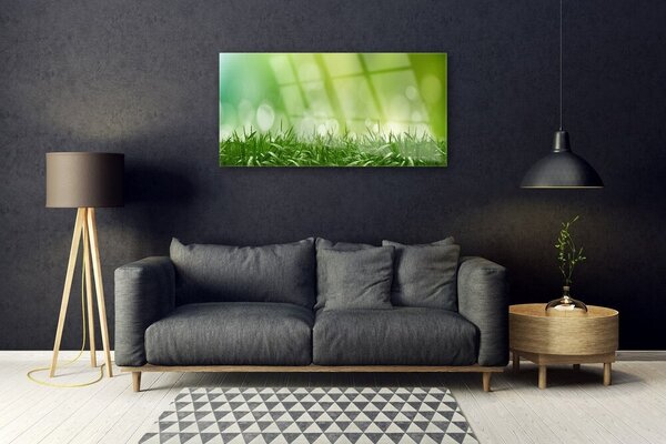Skleneny obraz Tráva rastlina príroda 100x50 cm 2 Prívesky