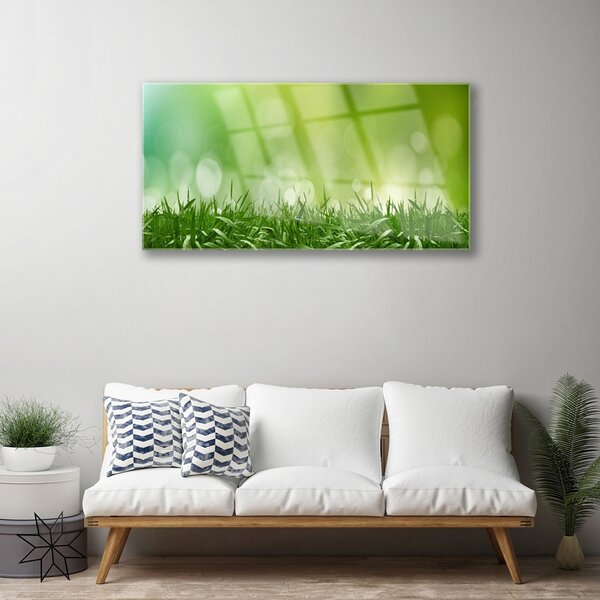 Skleneny obraz Tráva rastlina príroda 100x50 cm 2 Prívesky
