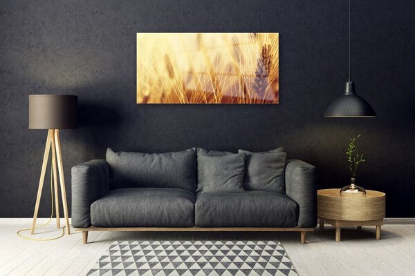 Skleneny obraz Pšenica rastlina príroda 100x50 cm 2 Prívesky