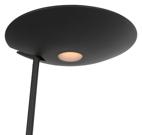 Steinhauer LED stojacia lampa osvetľujúca strop Daphne 2 + – čierna na citanie,, , Čierna, Obývacia izba / jedáleň, kov, Moderný, Zemné bodové svetlo