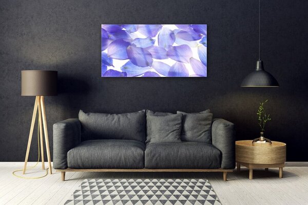 Skleneny obraz Plátky rastlina príroda 100x50 cm 2 Prívesky