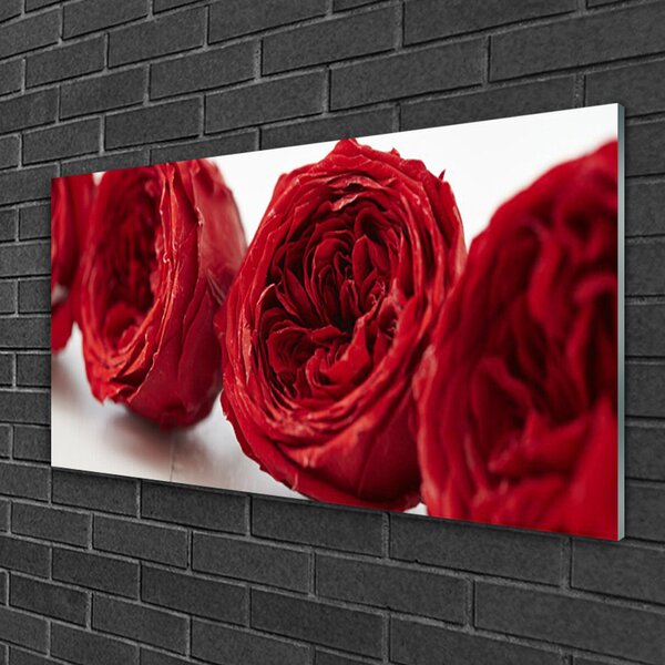 Skleneny obraz Ruže kvety rastlina 100x50 cm 2 Prívesky