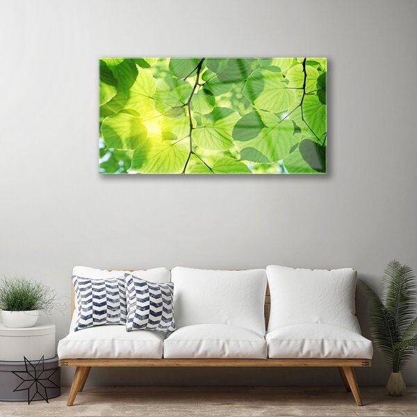 Skleneny obraz Listy príroda rastlina 100x50 cm 2 Prívesky