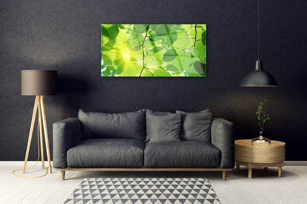 Skleneny obraz Listy príroda rastlina 100x50 cm 2 Prívesky