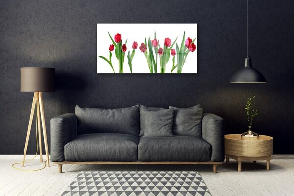 Skleneny obraz Tulipány kvety rastlina 100x50 cm 2 Prívesky