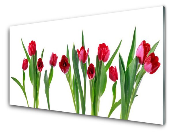Skleneny obraz Tulipány kvety rastlina 120x60 cm 4 Prívesky