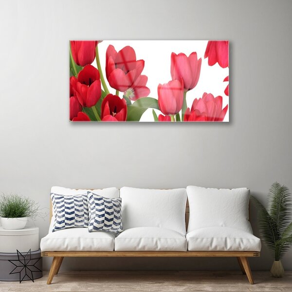 Skleneny obraz Tulipány kvety rastlina 100x50 cm 2 Prívesky