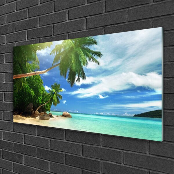 Skleneny obraz Palma pláž more krajina 100x50 cm 2 Prívesky