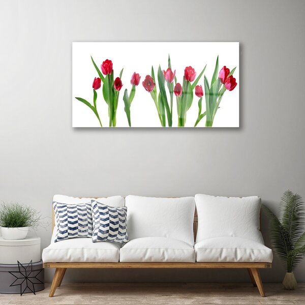 Skleneny obraz Tulipány kvety rastlina 100x50 cm 2 Prívesky