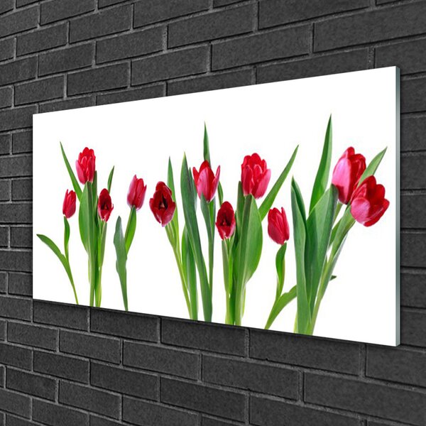 Skleneny obraz Tulipány kvety rastlina 100x50 cm 2 Prívesky