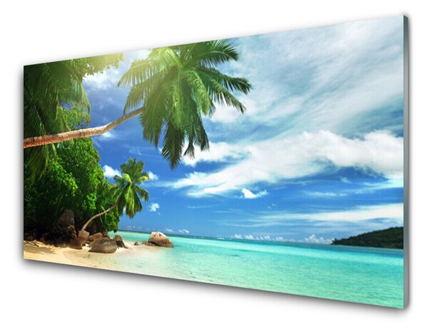 Skleneny obraz Palma pláž more krajina 120x60 cm 4 Prívesky