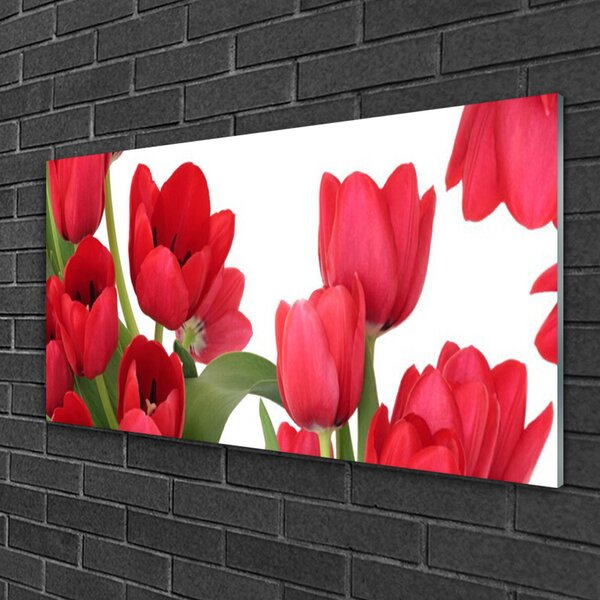 Skleneny obraz Tulipány kvety rastlina 100x50 cm 2 Prívesky