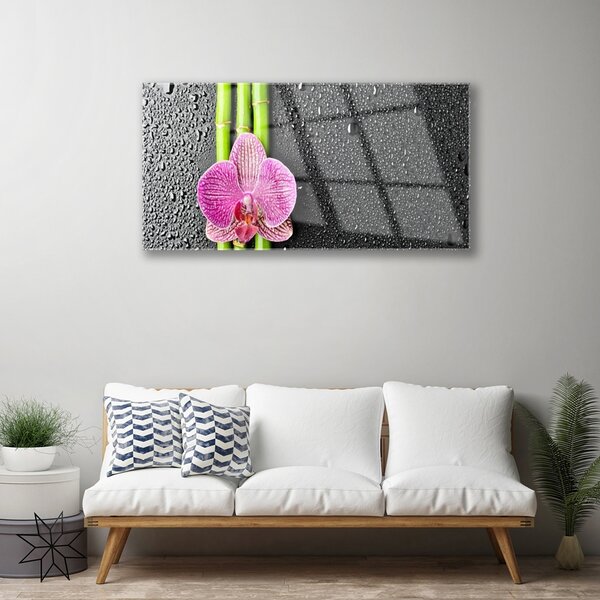 Skleneny obraz Bambus kvet rastlina príroda 100x50 cm 2 Prívesky