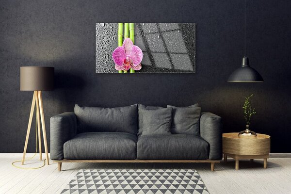 Skleneny obraz Bambus kvet rastlina príroda 100x50 cm 2 Prívesky