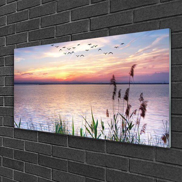 Skleneny obraz More vtáky nebo krajina 100x50 cm 2 Prívesky