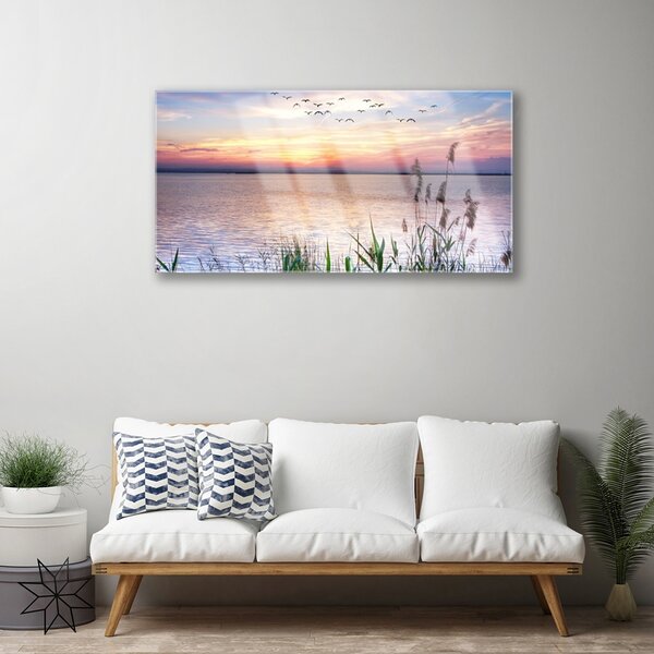 Skleneny obraz More vtáky nebo krajina 100x50 cm 2 Prívesky
