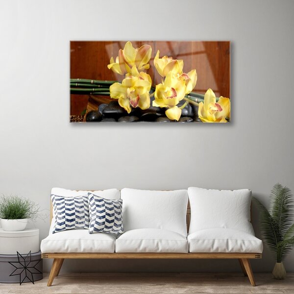 Skleneny obraz Kvet kamene rastlina 100x50 cm 2 Prívesky