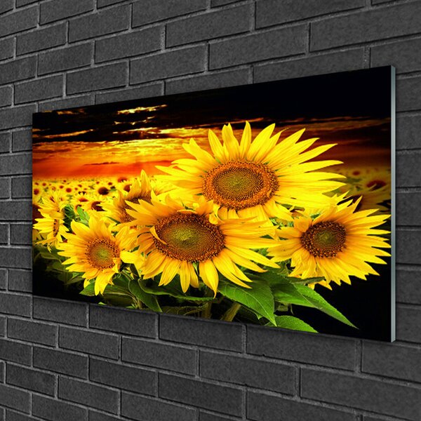 Skleneny obraz Slnečnica kvet rastlina 100x50 cm 2 Prívesky