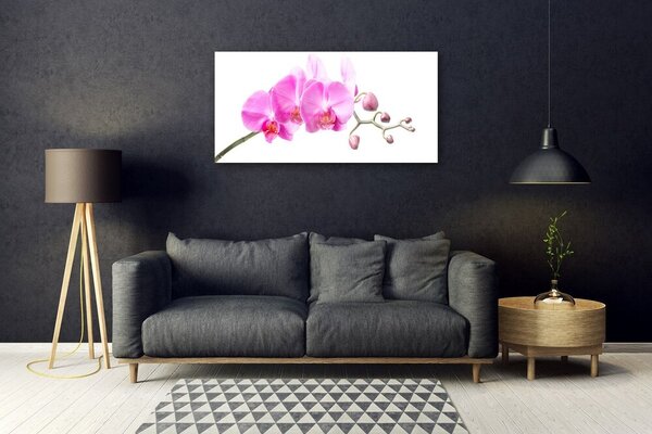 Skleneny obraz Kvety rastlina príroda 100x50 cm 2 Prívesky