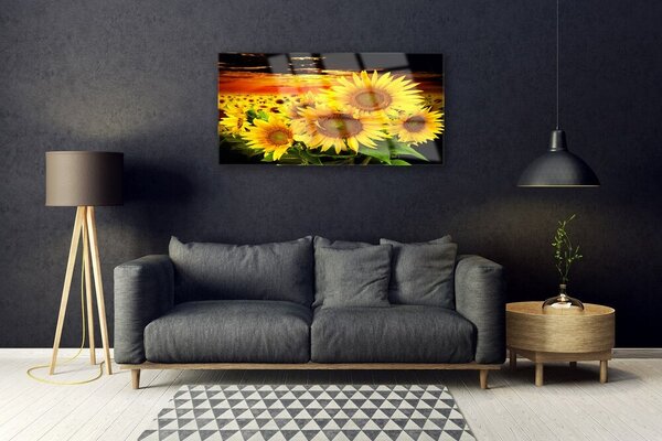 Skleneny obraz Slnečnica kvet rastlina 100x50 cm 2 Prívesky