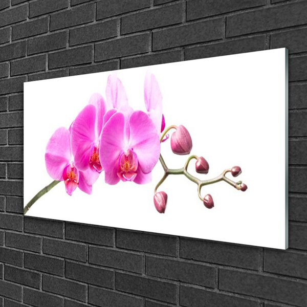 Skleneny obraz Kvety rastlina príroda 100x50 cm 2 Prívesky