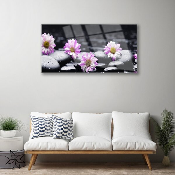 Skleneny obraz Kvet kamene rastlina 100x50 cm 2 Prívesky
