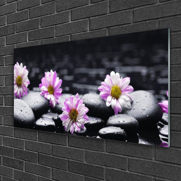 Skleneny obraz Kvet kamene rastlina 100x50 cm 2 Prívesky