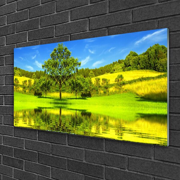 Skleneny obraz Lúka strom príroda 100x50 cm 2 Prívesky