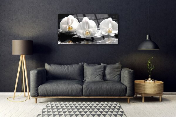 Skleneny obraz Kvet kamene rastlina 100x50 cm 2 Prívesky